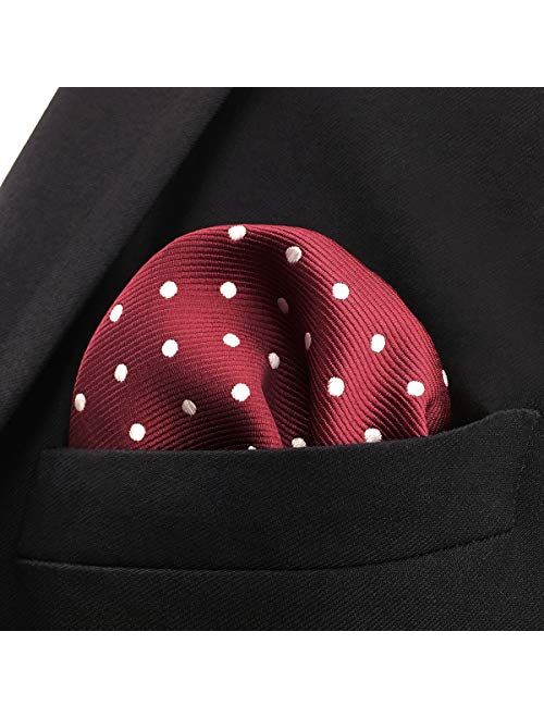 SHLAX&WING Red Dots Maroon Wedding Necktie Men's Tie Fashion