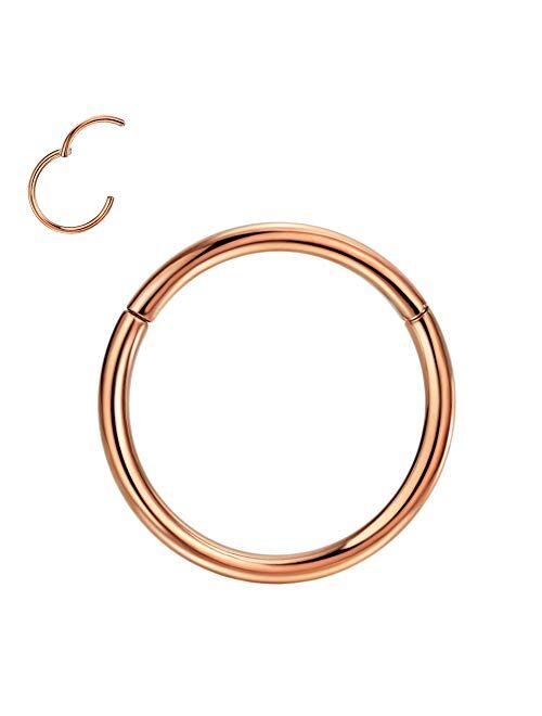 FANSING 1pc Grade 23 Titanium Body Piercing Rings for Nose Ear Lip Septum 20G/18G/16G/14G/12G/10G 5mm/6mm/7mm/8mm/9mm/10mm/11mm/12mm/13mm/14mm/16mm Silver/Gold/Rose Gold 