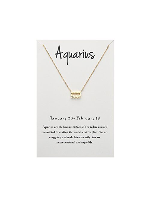 Wishoney Astrology Necklace for Women Jewelry 12 Zodiac Pendant Birthday Gifts Horoscope Constellations Message Card