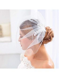 Zoestar Wedding Lace Birdcage with Comb Bridal Hair Accessories for Women