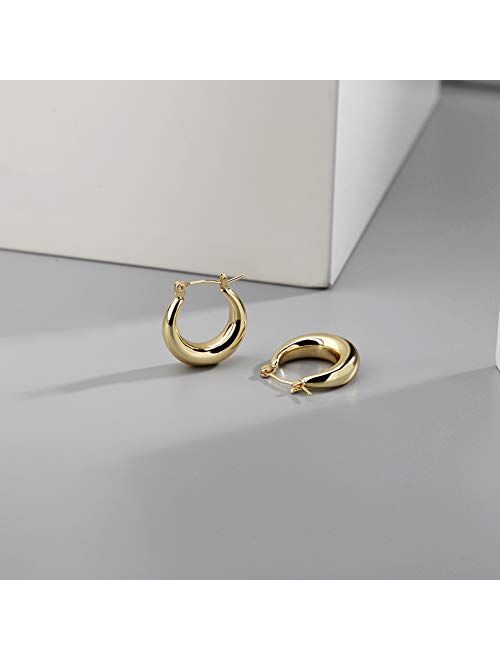 LILIE&WHITE Chunky Gold Hoop Earrings for Women Cute Fashion Hypoallergenic earrings Minimalist Jewelry Gift
