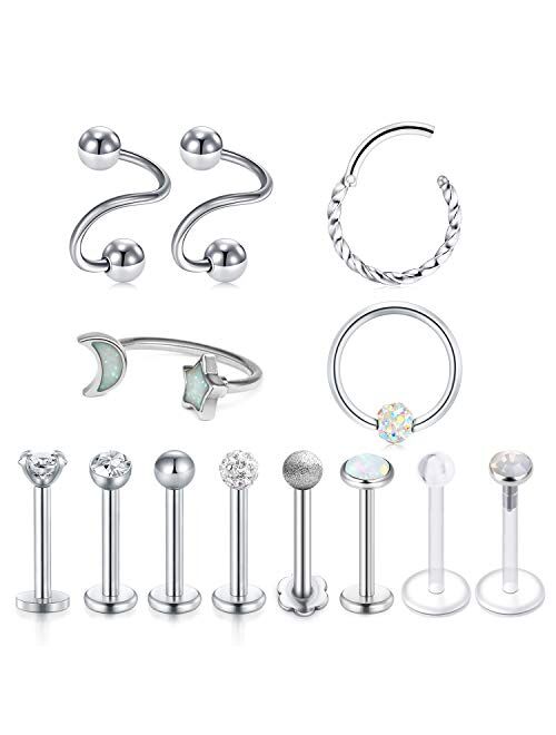 Briana Williams 16G Tragus Earrings Studs Surgical Steel Helix Cartilage Earring Daith Rook Piercing Lip Rings Piercing Jewelry for Women Men