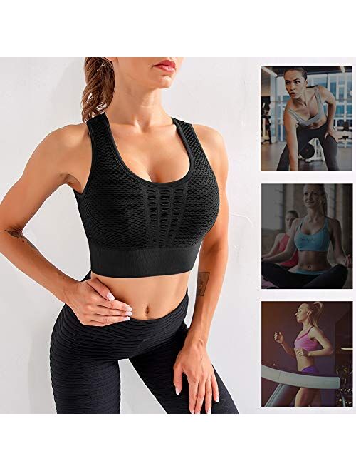 Botel Mesh Sports Bra for Women - Front/Back Cutout Workout Seamless Sports Yoga Crop Top - Removable Padded Sports Bra