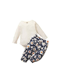 Toddler Baby Girls Clothes Floral Tops Shirt Flower Hoodie Pants Outfit Set Fall Clothes