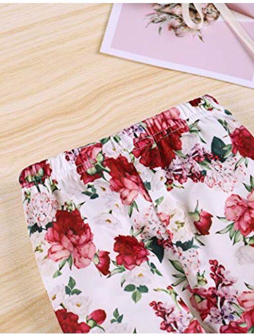 Toddler Baby Girls Clothes Floral Tops Shirt Flower Hoodie Pants Outfit Set Fall Clothes