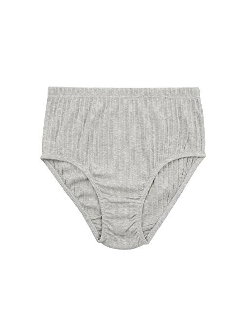 Buy Knitlord Women's Plus Size Underwear Cotton 6 Pack Comfort Briefs  Panties online