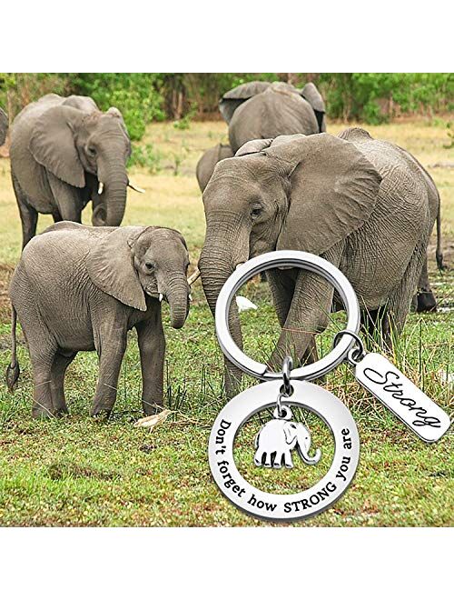 bobauna Elephant Keychain Don't Forget How Strong You are Strength Jewelry Uplifting Gift for Friend Family Animal Lovers