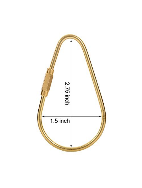 PPFISH Durable Brass Screw Lock Clip Key Chain Ring, Simple Style Car Keychain for Men Women (Pack of 2)