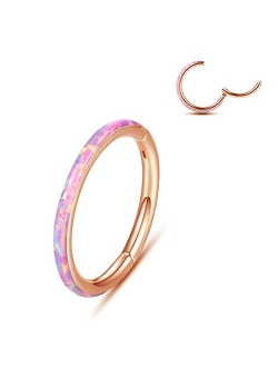 WBRWP 316L Stainless-Steel Piercing-Ring Hinged Nose-Rings-Hoop with Zircon/Opal 14G 16G 18G 20g Body Pierecing Ring Segment Clicker Lip Rings Cartilage Rook Earrings Dia