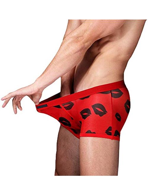 FEDPOP Men's Underwear Mesh Breathable Trunk Low Rise Cool Boxers