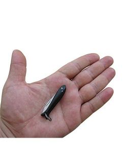 Fish Smallest Mini Micro Handmade Pocket Folding Folder Keychain Knife, Stainless Steel, Multi Purpose Portable Tiny Blade (Black)