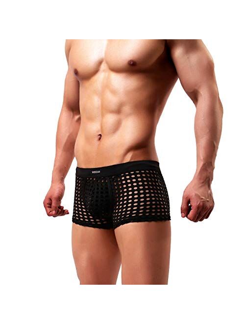 Arjen Kroos Men's Hollow out Boxer Briefs Breathable Mesh Trunks Underwear