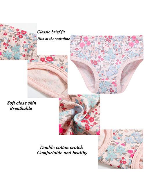 Hahan Baby Soft Cotton Panties Cotton Little Girls Underwear Toddler  Briefs, Mixed22, 10 : : Clothing, Shoes & Accessories