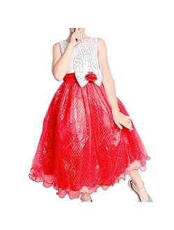 Girls Dress Glitter Sequin Wedding Bridesmaid Pageant Size 4-14