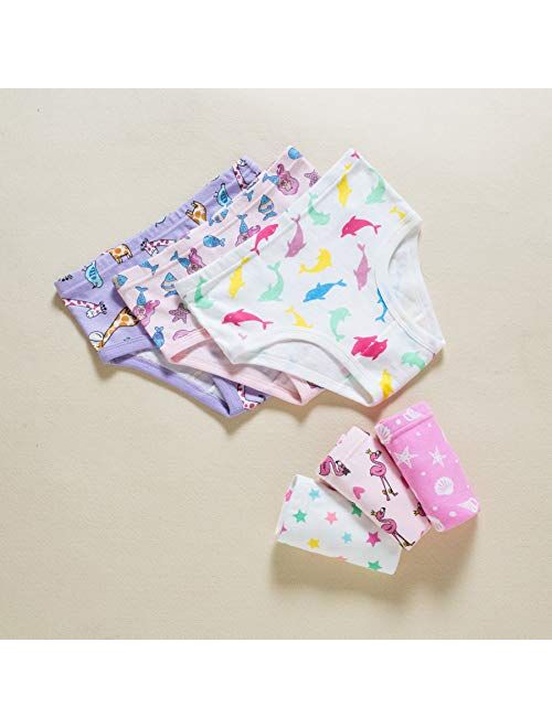 Slenily Little Girls' Soft Cotton Underwear Kids Cool Breathable Comfort Panty Briefs Toddler Undies(Pack of 6)