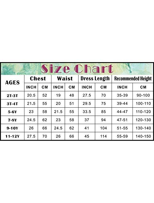 SPUNICOS Deluxe Princess Costume Dress with and Without Accessories Options Available