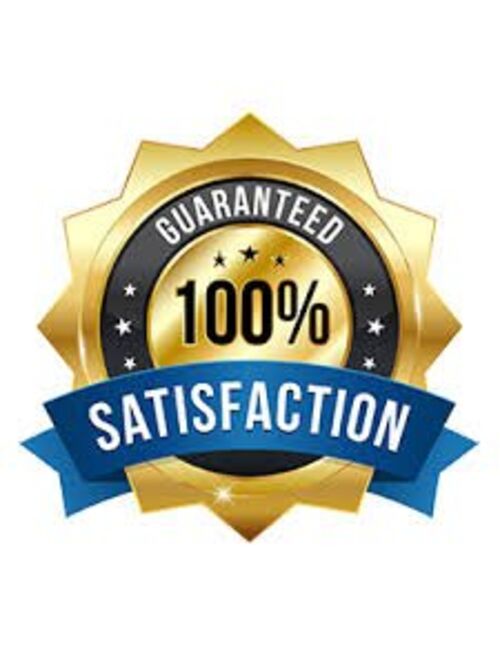 The World Jewelry Center 14k Yellow Gold Butterfly Stud Earrings with Screw Back- 12 Different Color Available