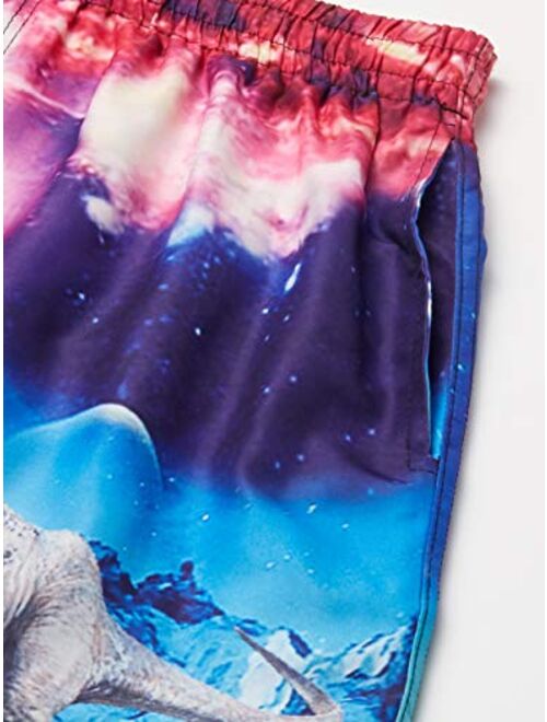 ALOOCA Boys Swim Trunks Quick Dry Casual Board Shorts Elastic Waist 3D Print Summer Surf Beach Pants with Mesh Lining 5-14T