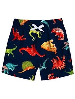 ALOOCA Boys 3D Printed Funny Swim Trunks Casual Quick-Drying Beach Pant Sports Running Swim Surf Board Shorts