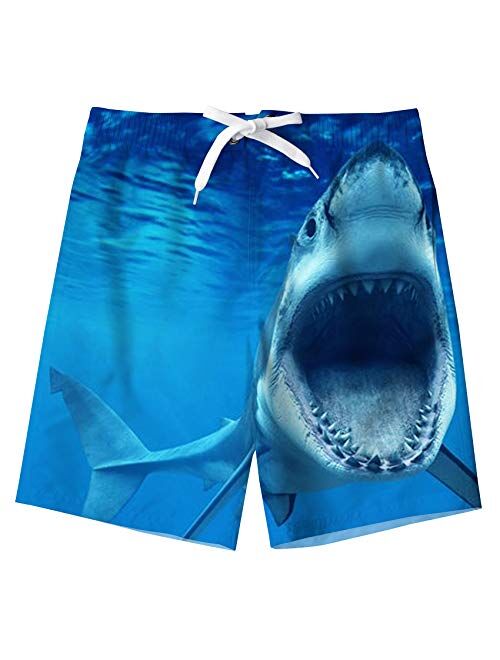 TUONROAD Boys Swim Trunks Quick Dry Swim Shorts Pineapple Dinosaur Shark Board Shorts for Boys 5-14T