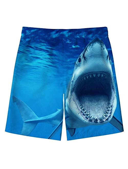 TUONROAD Boys Swim Trunks Quick Dry Swim Shorts Pineapple Dinosaur Shark Board Shorts for Boys 5-14T