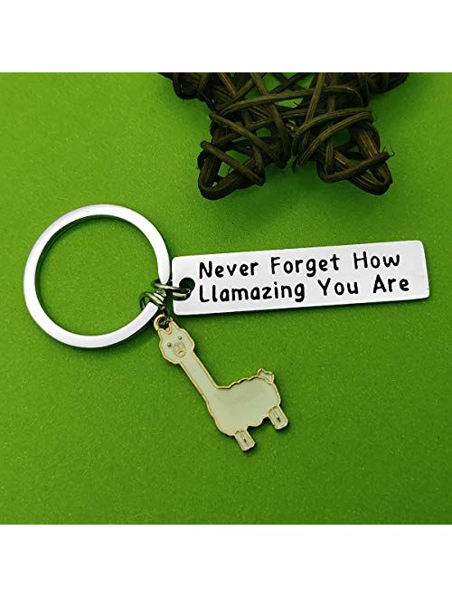 Llama Keychain Llama Gift Never Forget How Llamazing You are Keychain for Women Alpaca Gifts Animal Lover Gift Inspiring Inspired Motivational Keychains for Women,birthda