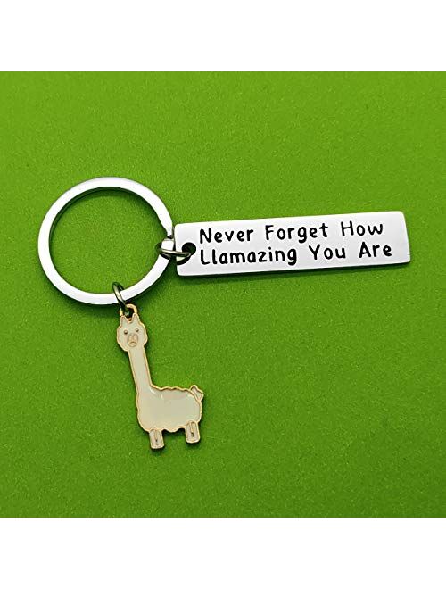 Llama Keychain Llama Gift Never Forget How Llamazing You are Keychain for Women Alpaca Gifts Animal Lover Gift Inspiring Inspired Motivational Keychains for Women,birthda