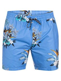 Men's Hermosa 17" Volley Board Shorts