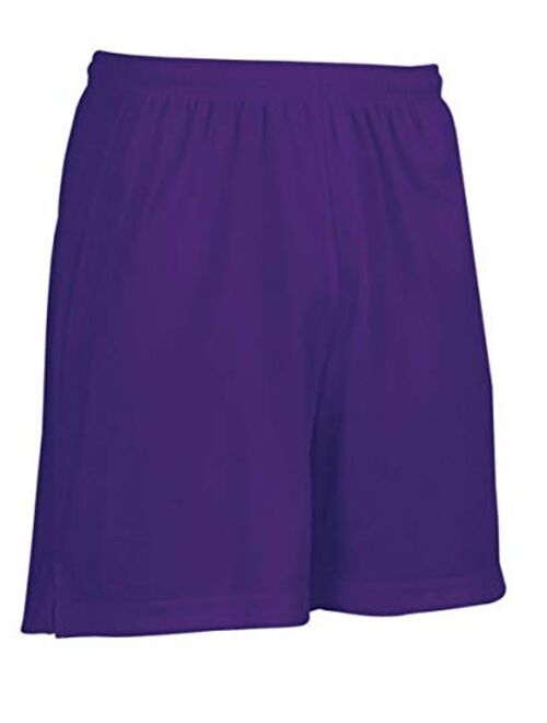 Diadora Men's Grinta Soccer and Sports Shorts (Purple, Large)