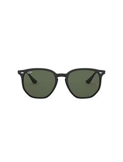 Rb4306 Hexagonal Sunglasses