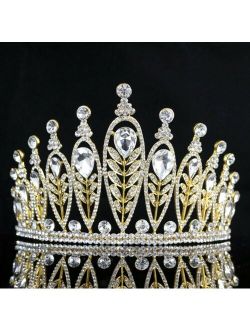Elegant Floral Clear Austrian Crystal Rhinestone Tiara Crown Prom Pageant T95g