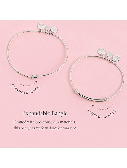Alex and Ani Soul Sister Expandable Bangle Bracelet for Women, Friendship Inscription Charm, 2 to 3.5 in