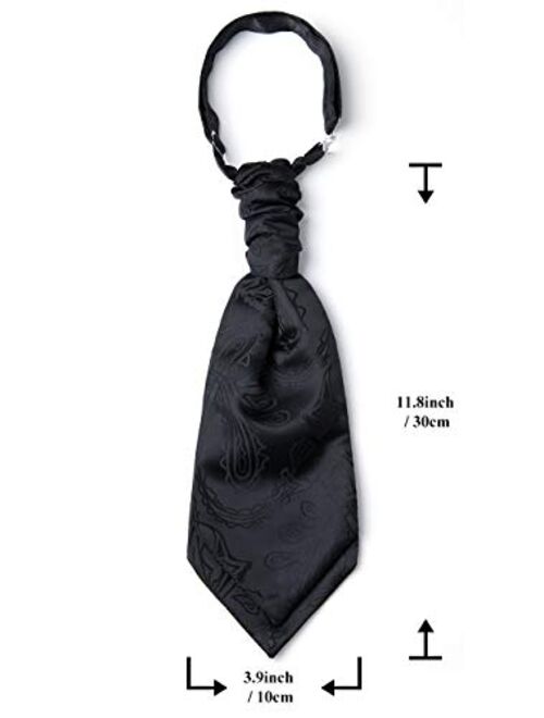HISDERN Cravat Ties for Men Wedding Ascot Tie Paisley Luxury Floral Pre-tied Handkerchief Set Satin