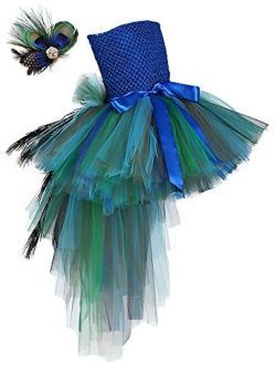 Tutu Dreams Fancy Peacock Feather Girl Pageant Tutu Dress