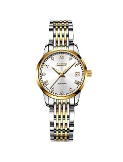 Women's Automatic Watch Self-Wind Auto Mechanical Watch with Stainless Steel Band Calendar Fashion Women Watch Luminous Wristwatch for Ladies
