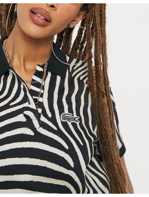Lacoste x National Geographic polo shirt in zebra