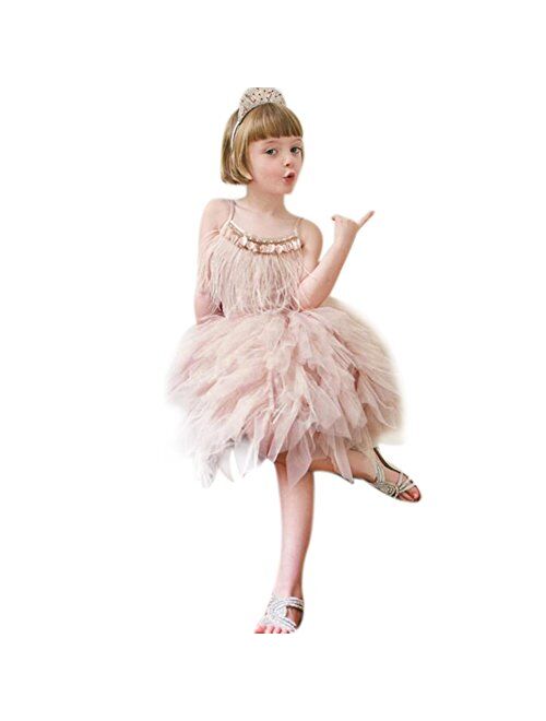Girls Swan Princess Dance Costume Feather Ballet Dress for Christmas Clothes 