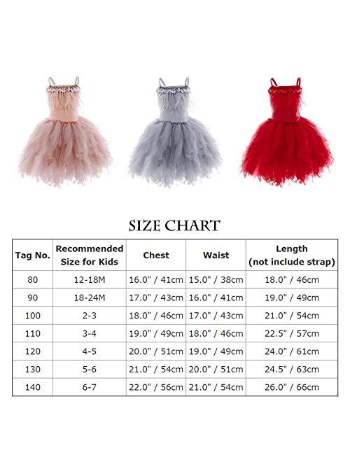 IBTOM CASTLE Kids Swan Princess Dance Costume Feather Ballerina Dress for Baby Girl Pageant Party Prom Birthday Short Gown 