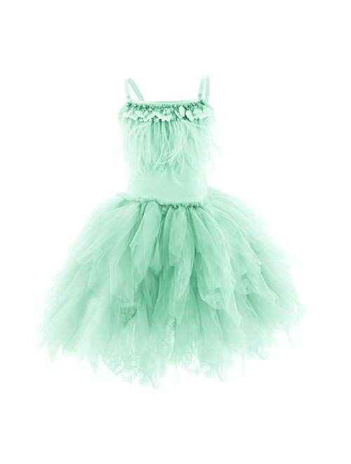 Buy IBTOM CASTLE Kids Swan Princess Dance Costume Feather