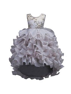 Flower Girl Princess Tutu Dress Wedding Bridesmaid Vintage Ruffle Lace Pageant Party Formal Trailing Communion Gown