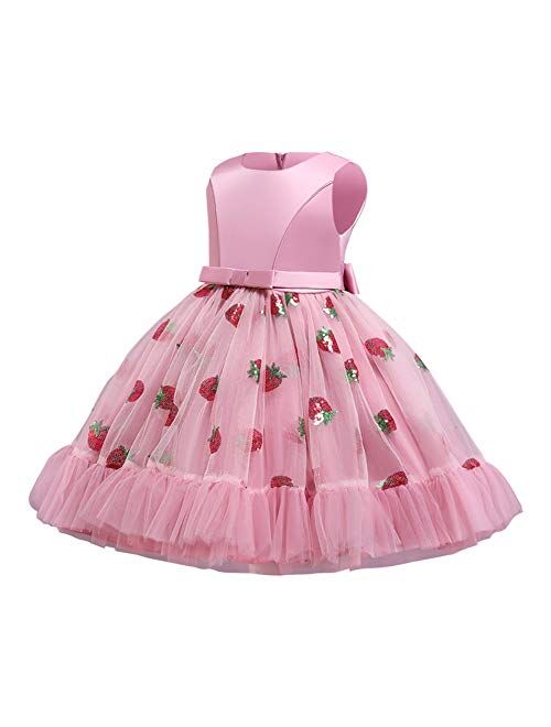 IBTOM CASTLE Girls Floral Shiny Strawberry Embroidery Princess Dress Kids Flower Ruffles Communion Party Pageant Wedding Formal Gown