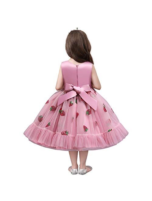 IBTOM CASTLE Girls Floral Shiny Strawberry Embroidery Princess Dress Kids Flower Ruffles Communion Party Pageant Wedding Formal Gown