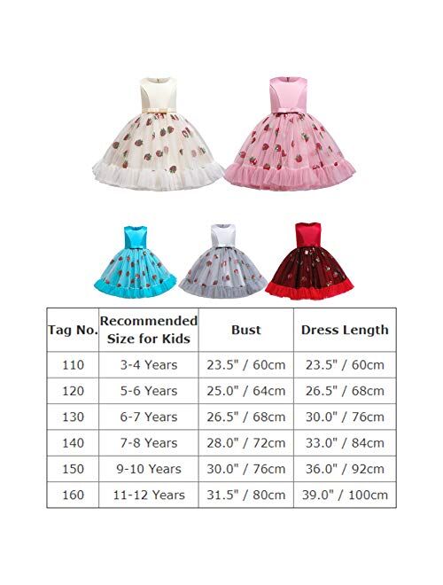 IBTOM CASTLE Girls Floral Shiny Strawberry Embroidery Princess Dress Kids Flower Ruffles Communion Party Pageant Wedding Formal Gown