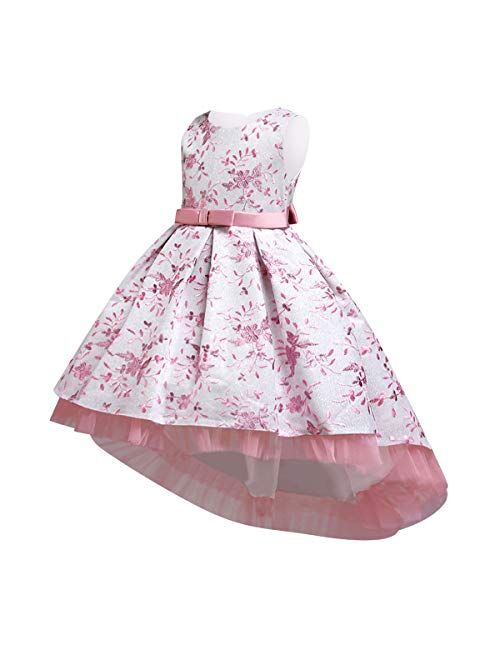 IBTOM CASTLE Baby Girls High-Low Vintage Ruffle Lace Embroidered Tutu Dress for Kids Pageant Wedding Flower Princess Communion Party Gown