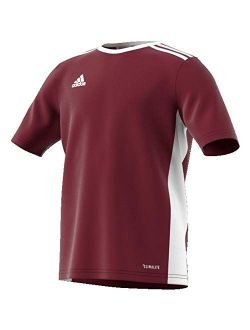 Maroon Polyester Short Sleeves jersey