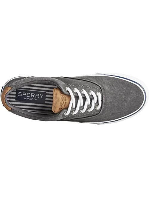 Sperry Striper II CVO Canvas Sneaker