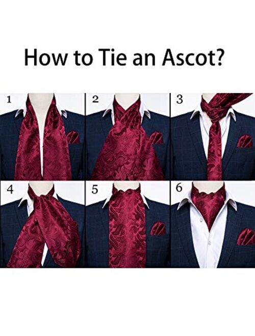 DiBanGu 4 PCS Ascot Ties for Men,Jacquard Cravat Ascot Tie Pocket Square Cufflinks with Floral Lapel Pin