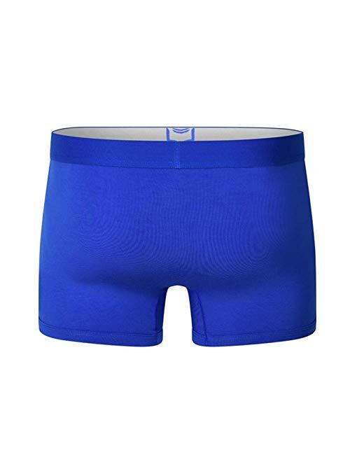 Sheath Underwear SHEATH 2.1 Men's Underwear Trunks with Dual Pouch Fly