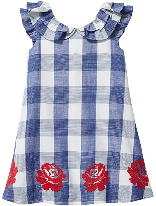 Janie and Jack Gingham Embroidered Dress (Toddler/Little Kids/Big Kids)