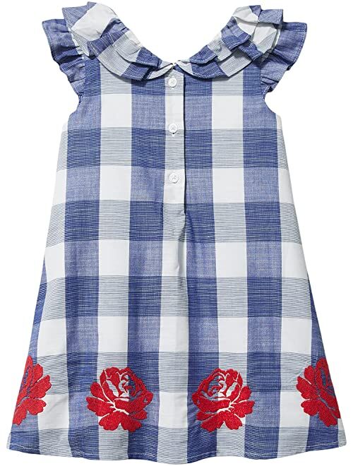 Janie and Jack Gingham Embroidered Dress (Toddler/Little Kids/Big Kids)